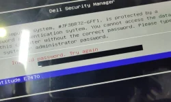 1697474501863.png
