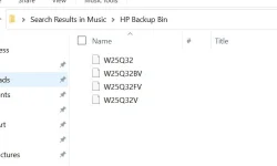 HP BIOS.JPG