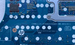 CAMELLIA-6050A3140901-MB-A01_DISCRETE_IMG_4332 (12).JPG