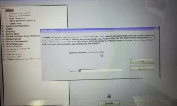 411111111111111.jpg