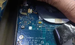 1733068642580.webp