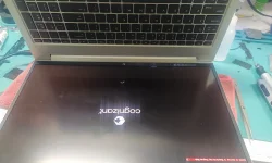 17438860273887091110935329154330.webp