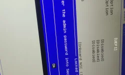 17644104197631962670309327246168.webp