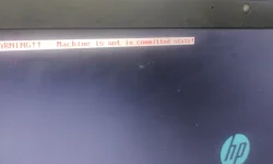 17694432246853633499227313884780.webp