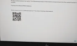 17710707601508077460708993843100.webp