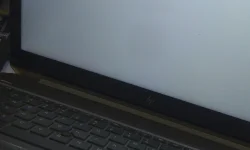 17795522687123714461970799401318.webp