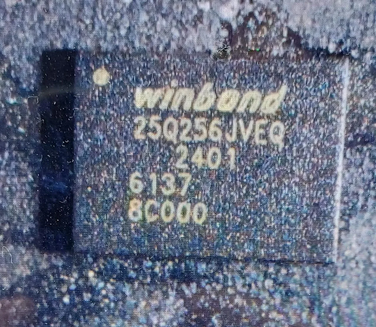 new_chip.webp